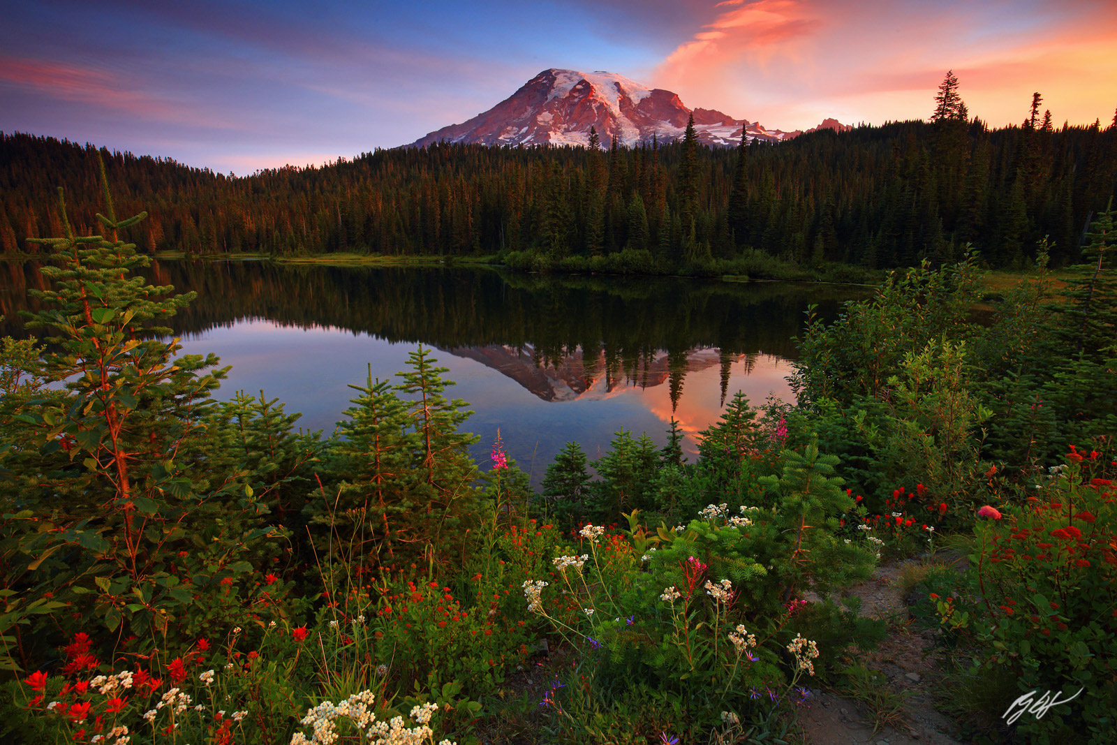 Sunrise Wildflowers and Mt. Rainier Reflected in Reflection lakes in Mt. Rainier National Park in Washington
