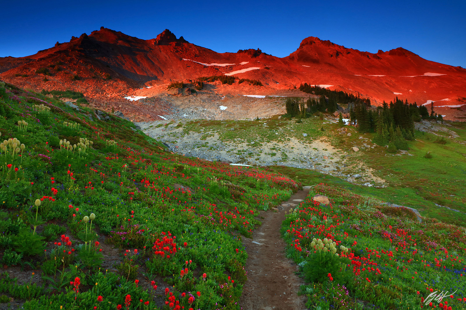 Sunset Wildflowers and the Goat Rocks from Snow Grass Flats in the Goat Rocks Wilderness in Washington