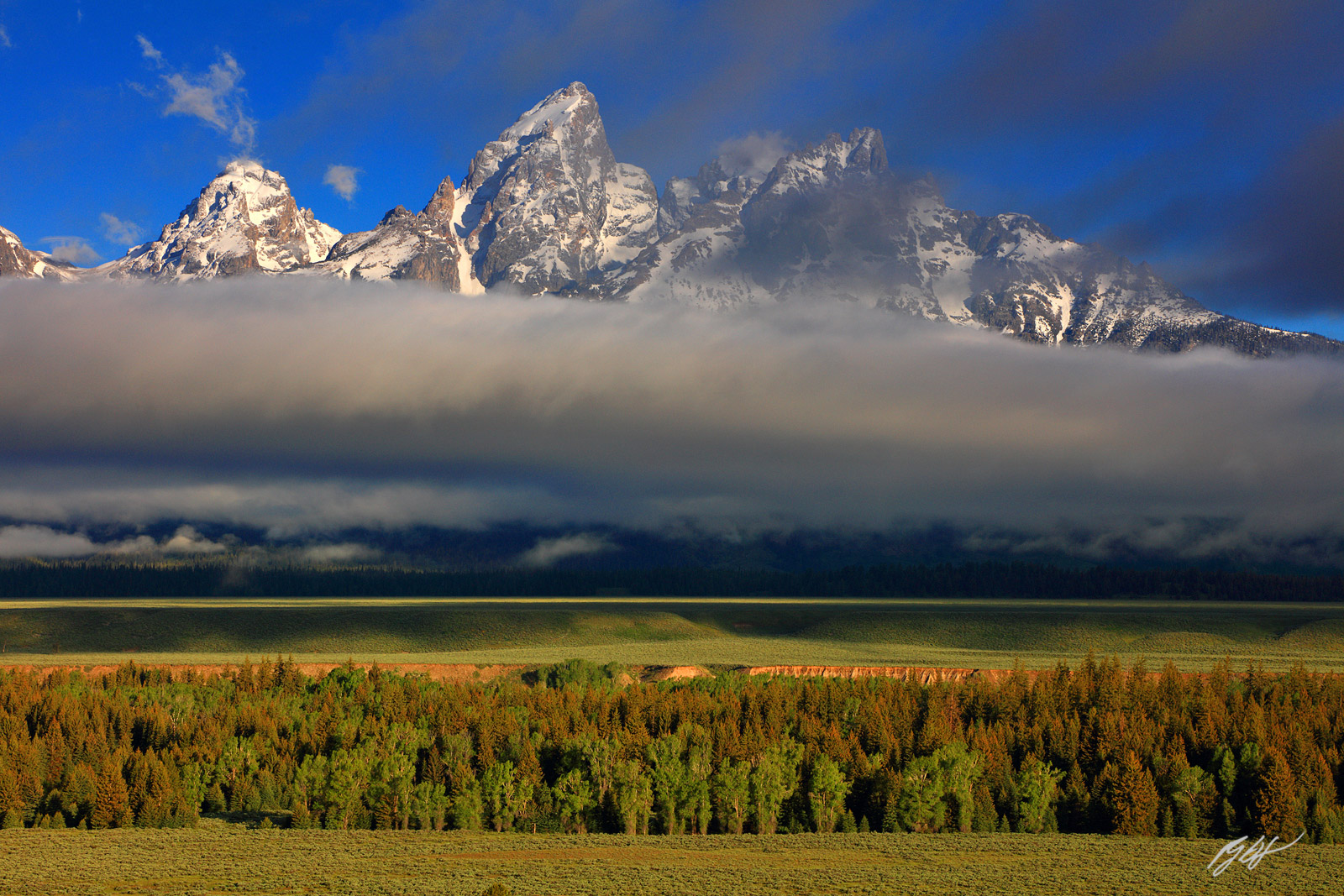 The Grand Tetons Rise above the Clouds in Morning Light Viewed from Teton Point in Grand Teton National Park in Wyoming