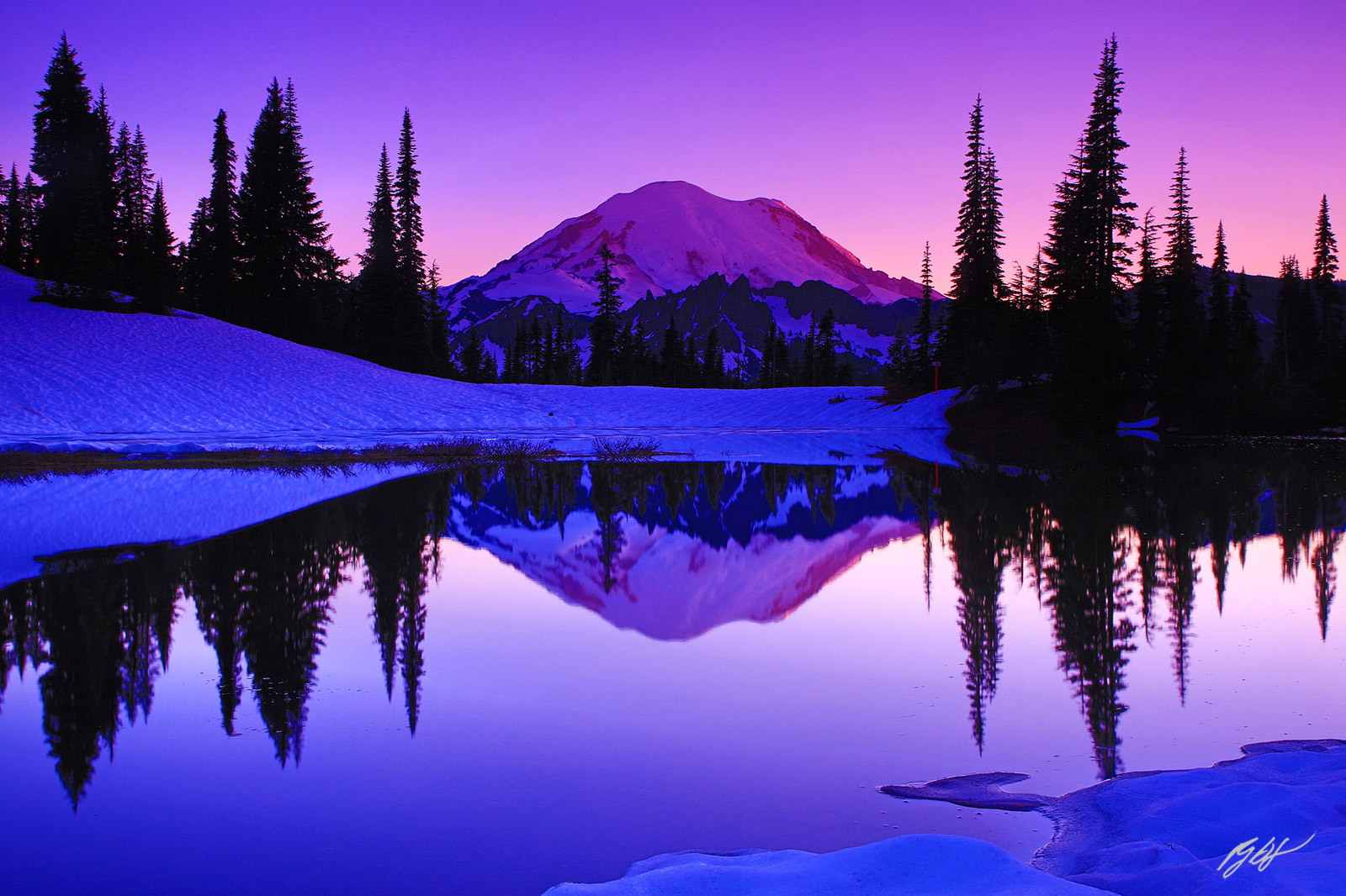 Sunset Mt Rainier Reflected in Tipsoo Lake in Mt Rainier National Park in Washington