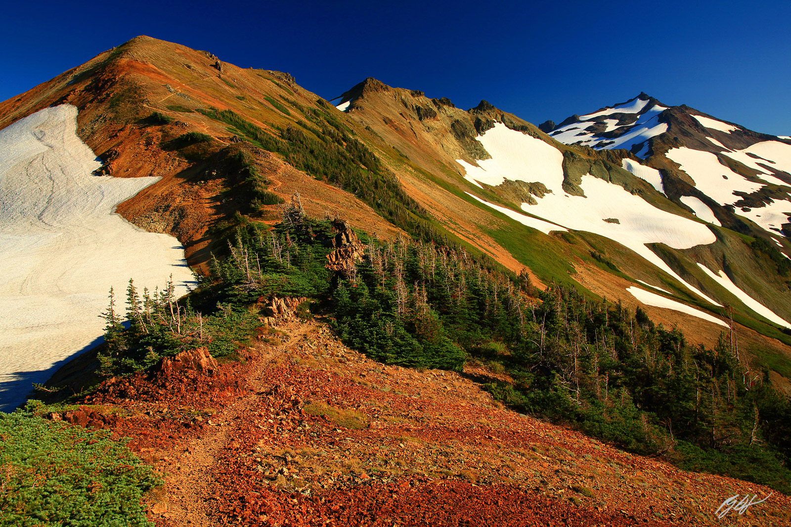 Old Snowy Mountain from the Pacific Crest Trail in the Goat Rocks Wilderness in Washington
