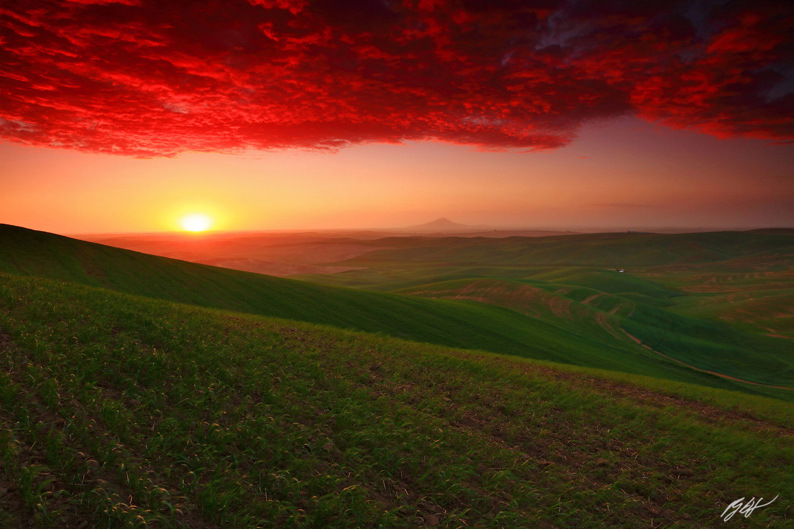 Sunset over the Palouse Hills with Steptoe Butte in Washington