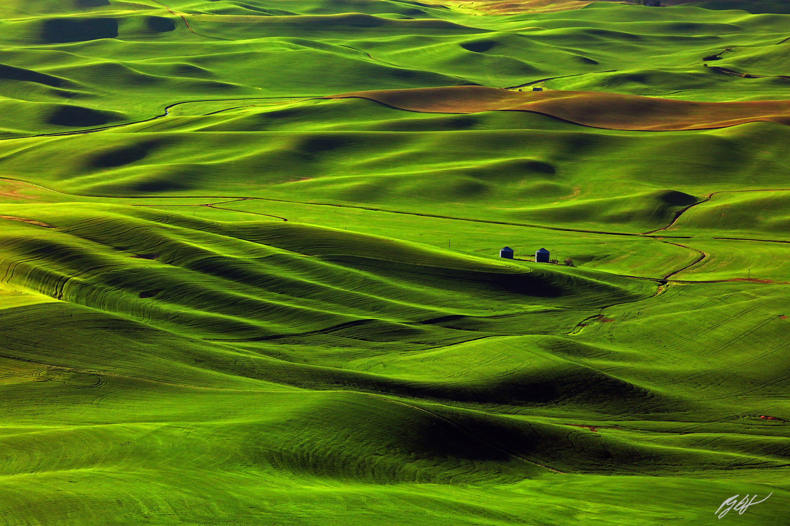 Evening Light on the Palouse Hills from Steptoe Butte in Steptoe Butte State Park in Washington