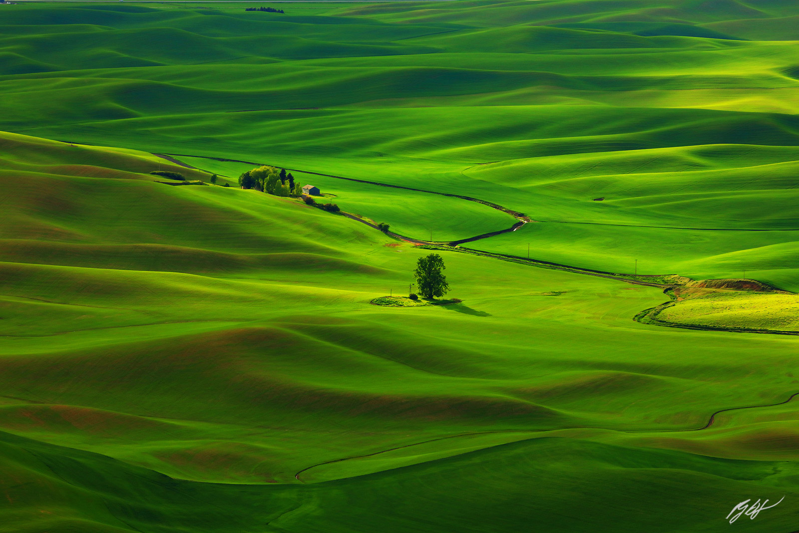 Evening Light on the Palouse Hills from Steptoe Butte in Steptoe Butte State Park in Washington