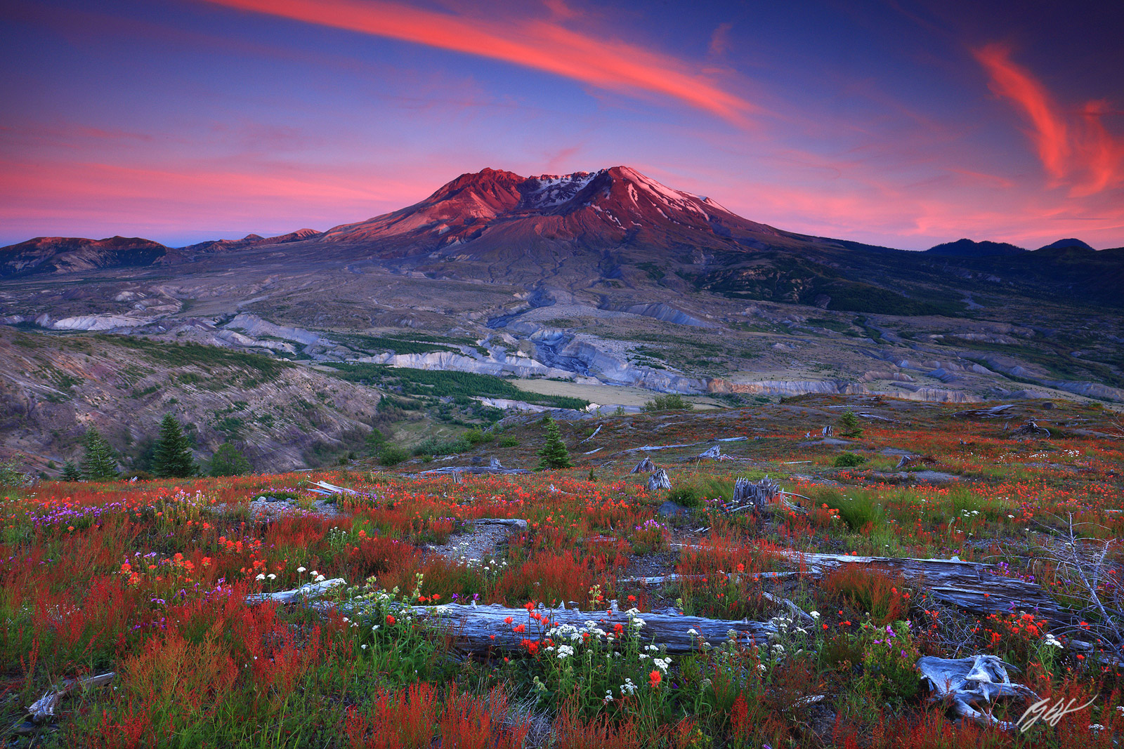 Sunset Wildflowers and Mt St Helens from Johnston Ridge in Mt St Helens National Volcanic Monument in Washington