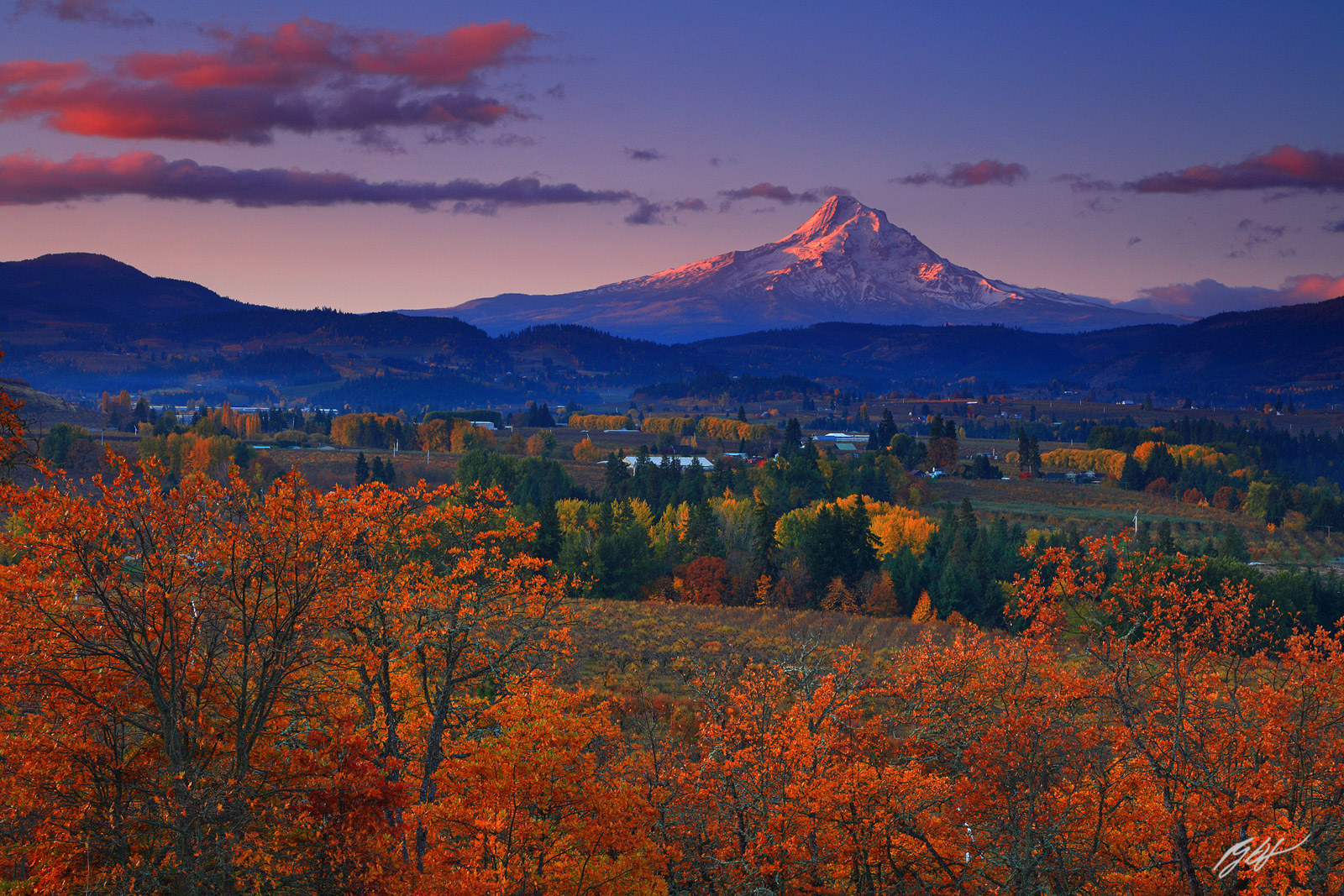 Sunrise Fall Color and Mt Hood from Hood River Valley in Oregon