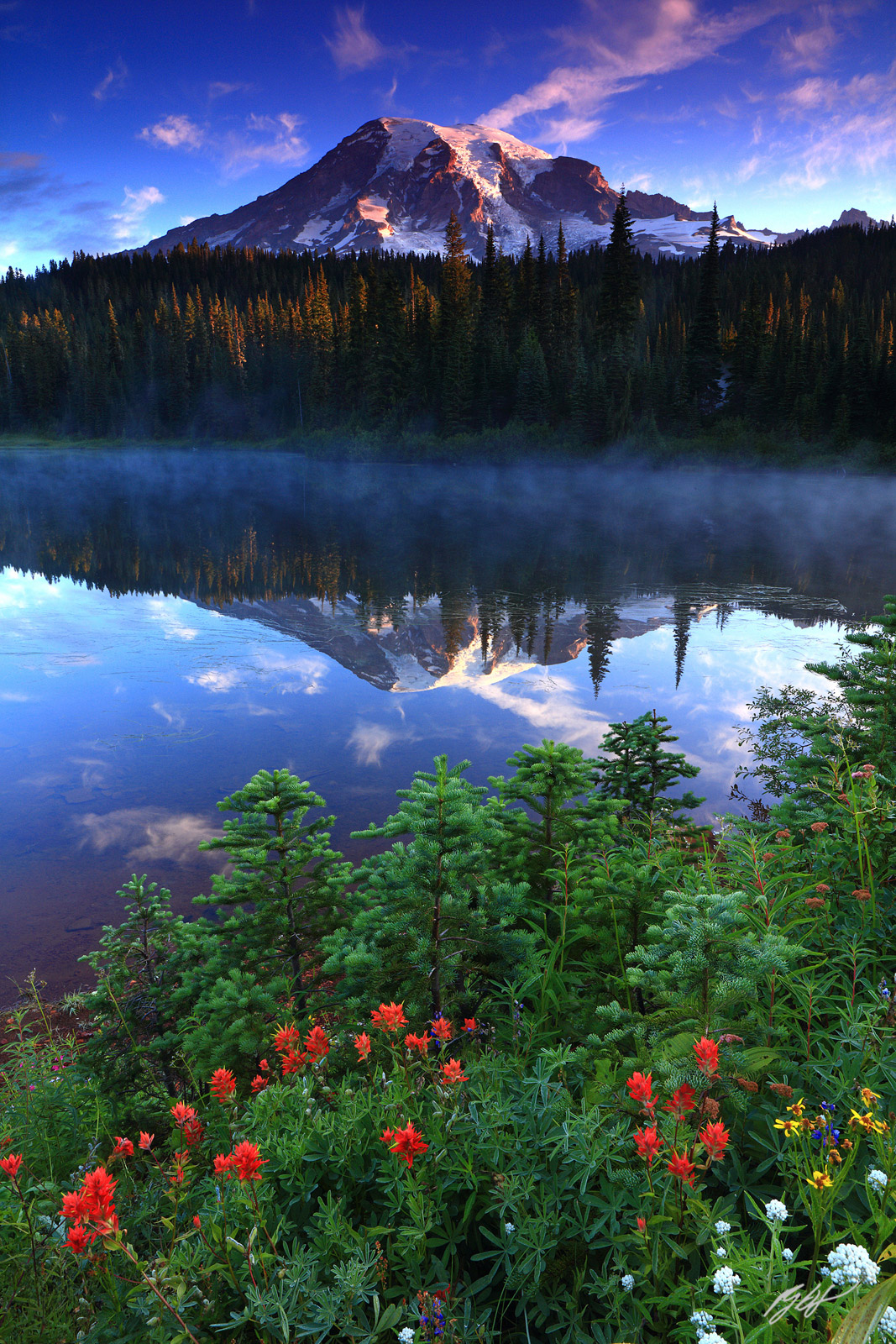 Sunrise Wildflowers and Mt Rainier Reflected in Reflection Lake in Mt Rainier National Park in Washington