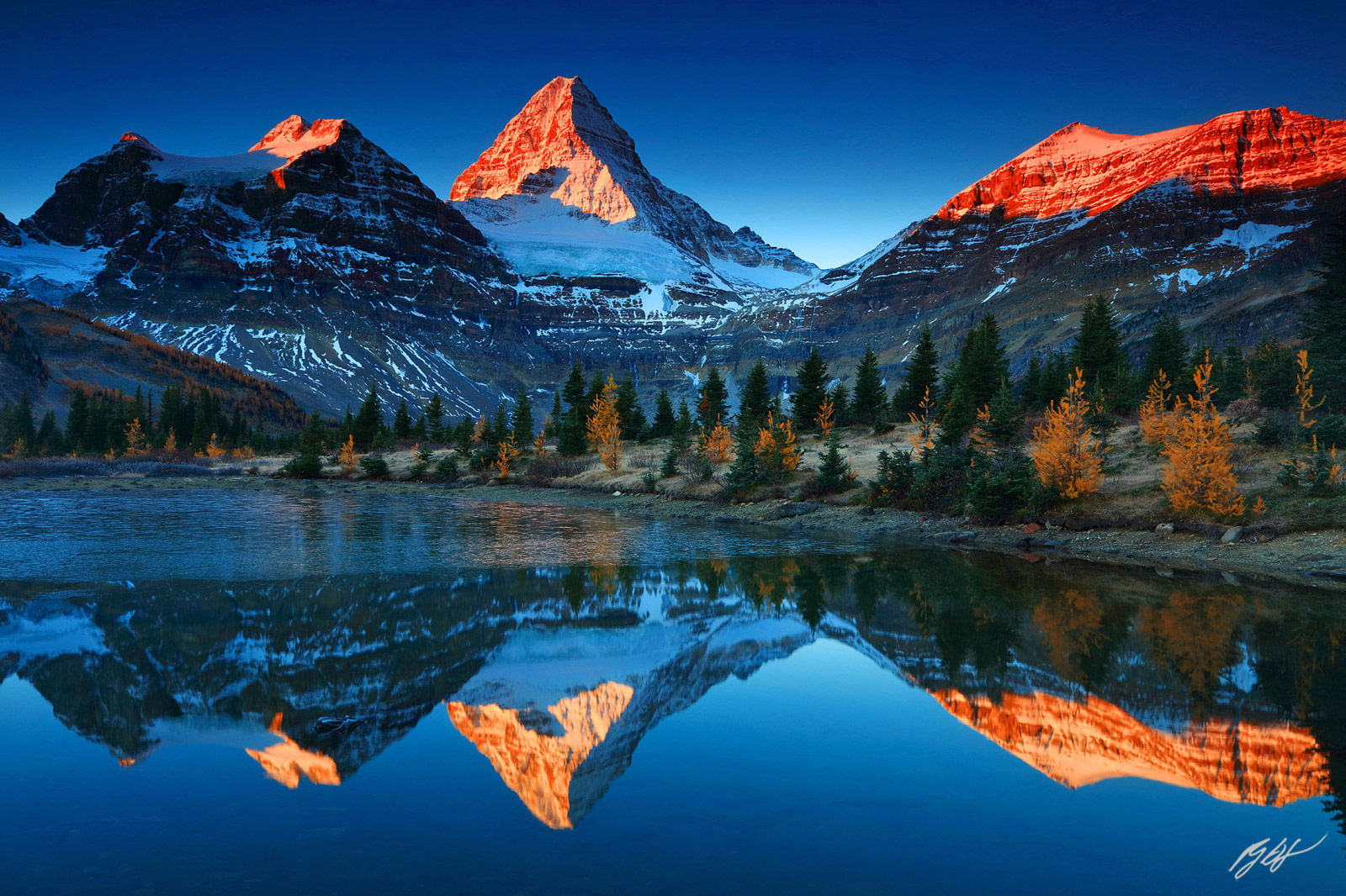 Sunrise Mt Assiniboine Reflected in a Tarn from Mt Assiniboine Provincial Park in British Columbia Canada