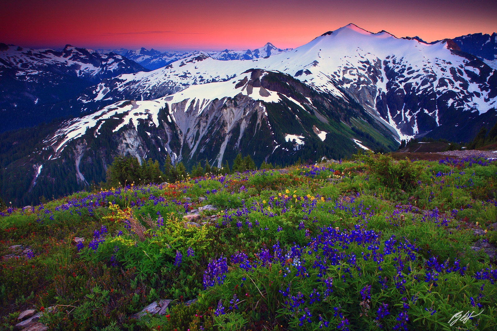Sunset Wildflowers and Mt Ruth from Hannagan Peak in North Cascades National Park in Washington