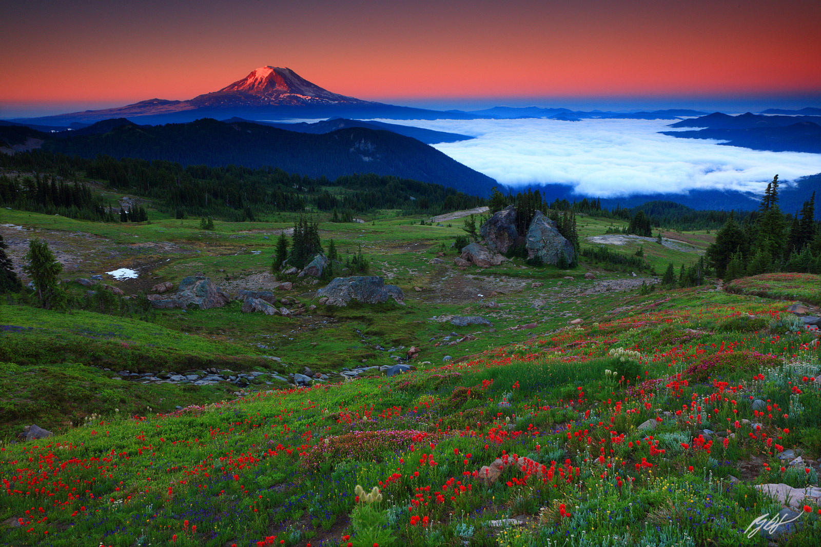 Sunrise wildflowers and Mt Adams from Snowgrass Flats in the Goat Rocks Wilderness in Washington