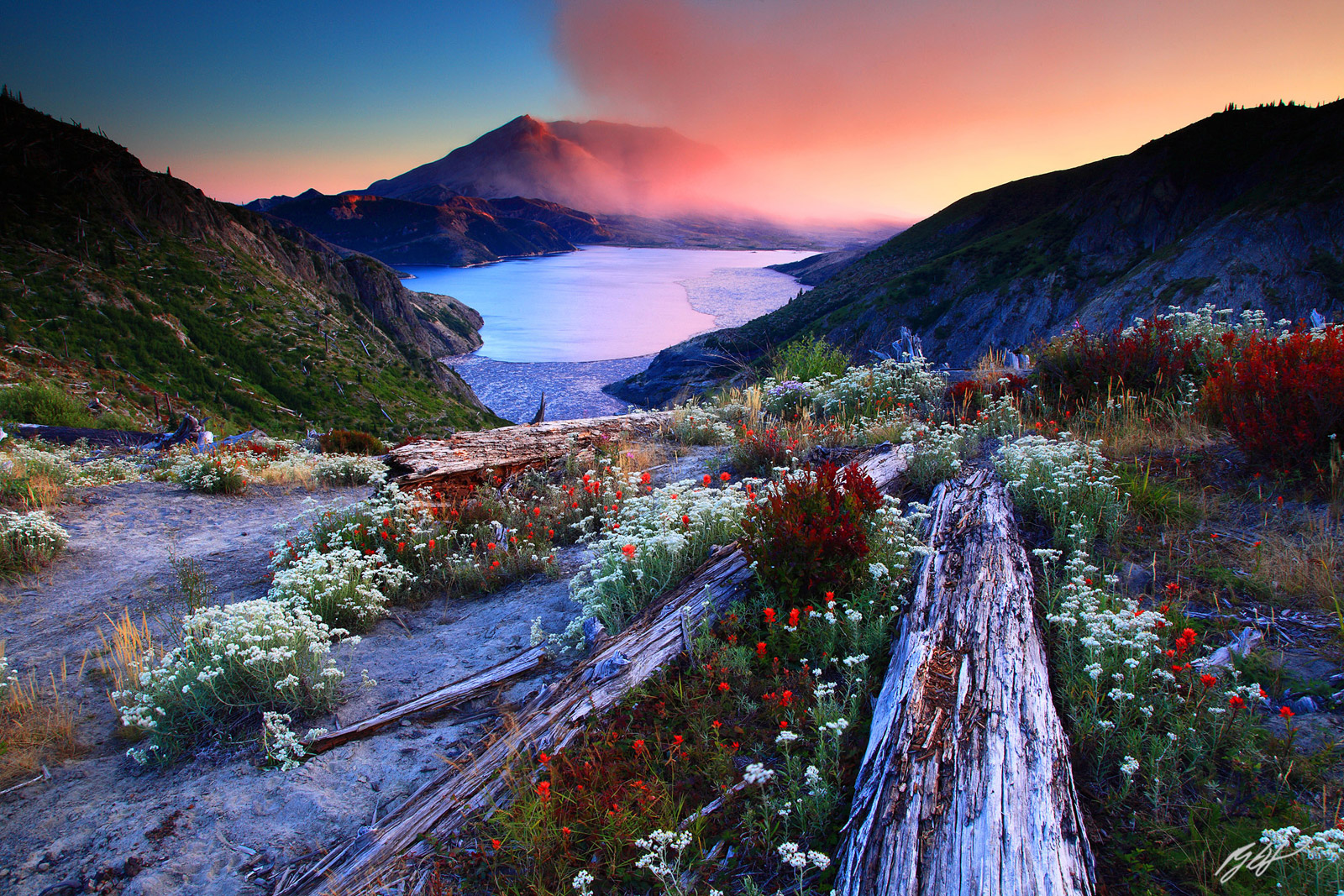 Sunset Wildflowers and Mt St Helens from Norway Pass, Mt St Helens National Volcanic Monument, Washington