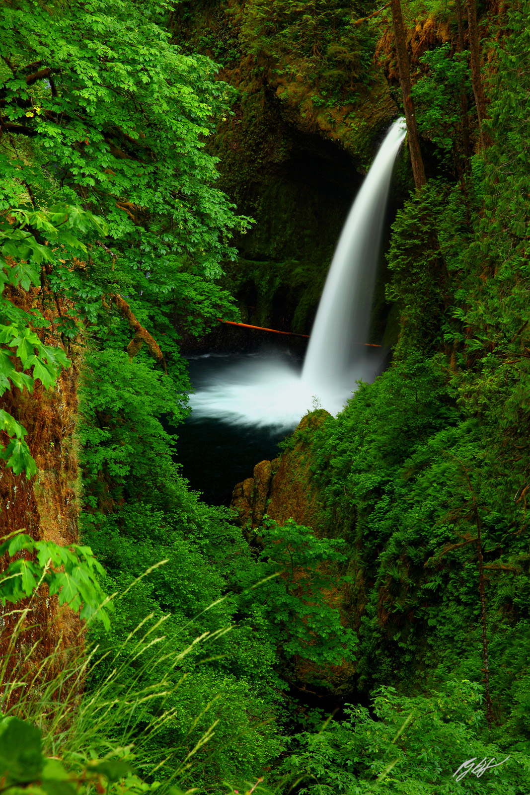 Metlako Falls in the Eagle Creek Gorge in the Columbia River Gorge, Oregon