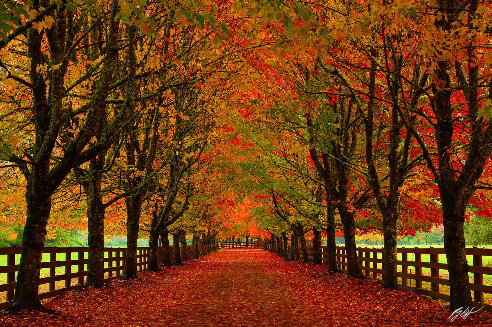 Fall Drive from Rockwood Farm in Snoqualmie, Washington