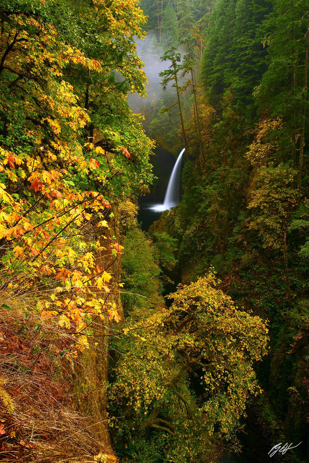 Fall Color and Metlako Falls in the Eagle Creek Gorge, Columbia River Gorge in Oregon