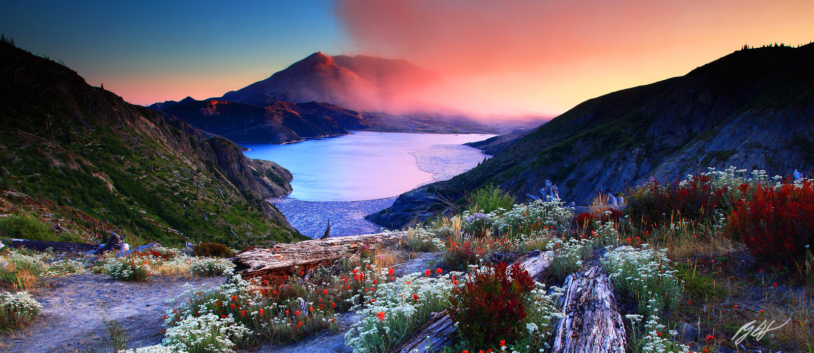 Sunset Wildflowers and Mt St Helens from Norway Pass in Mt St Helens National Volcanic Monument in Washington