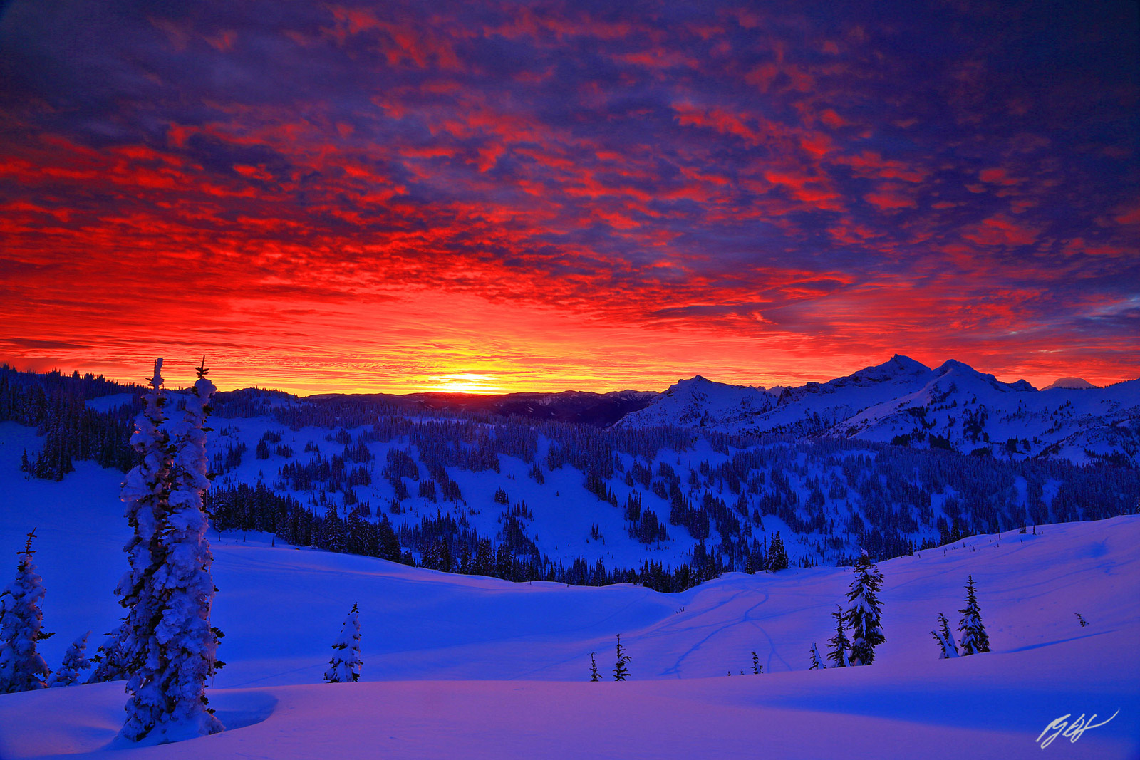 Winter Sunrise over the Tatoosh Range from Paradise Meadows in Mt Rainier National Park in Washington