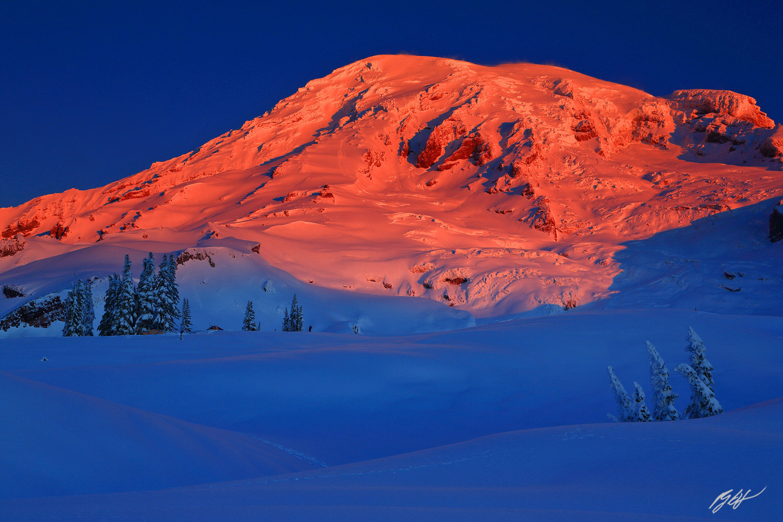 Winter sunrise Mt Rainier from Paradise Meadows in Mt Rainier National Park in Washington