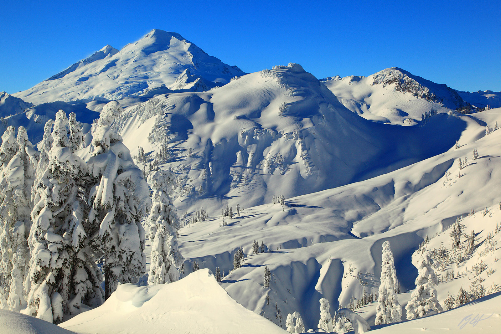 Winter Scene and Mt Baker from Artist Point, Mt Baker National Recreation Area in Washington