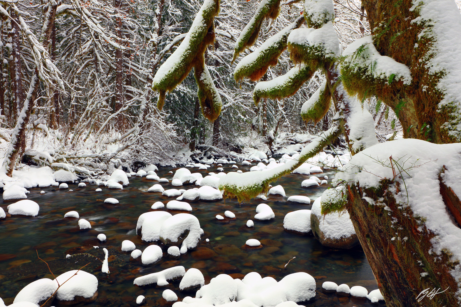 Fresh Snow along the Wallace River in Wallace Falls State Park in Washington