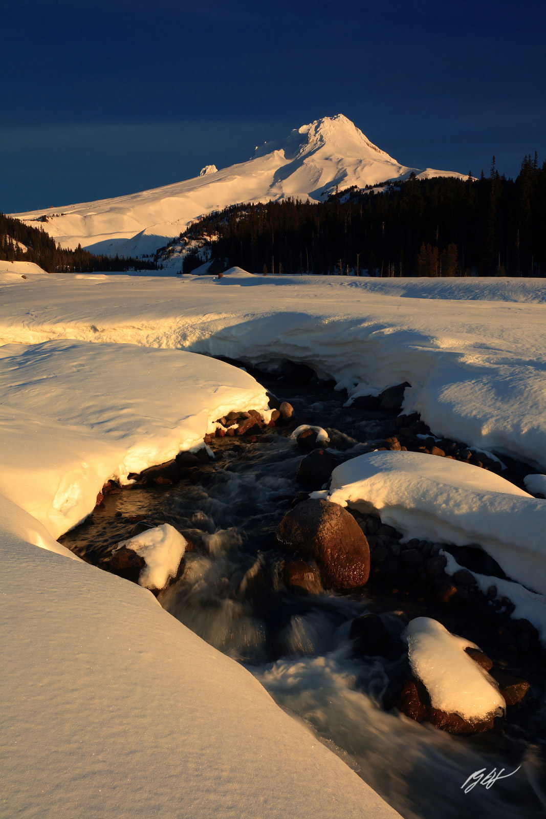 Morning Light on Mt Hood with the White River in the Mt Hood Wilderness in Oregon